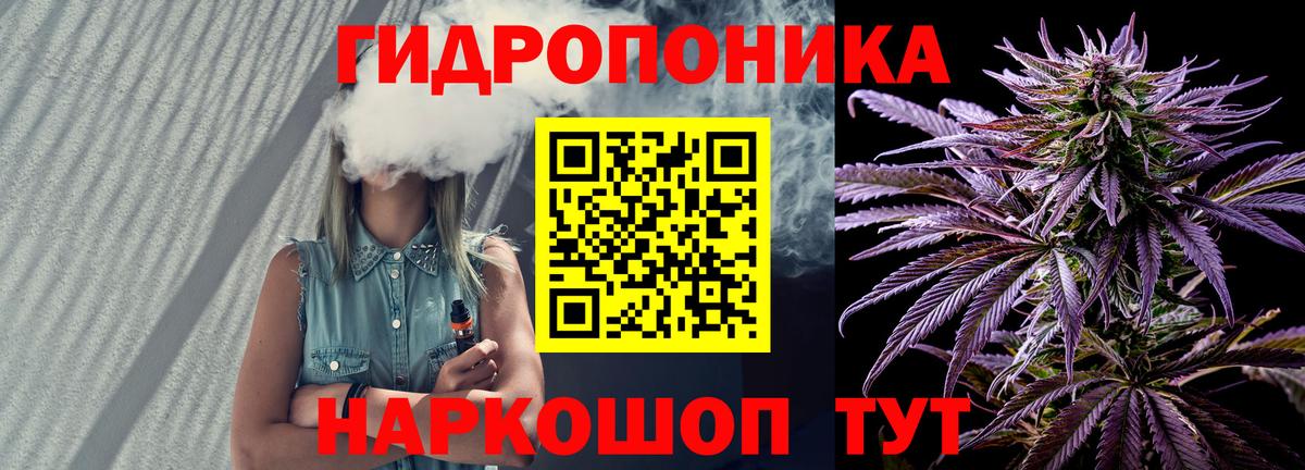 Шишки марихуана гибрид Всеволожск